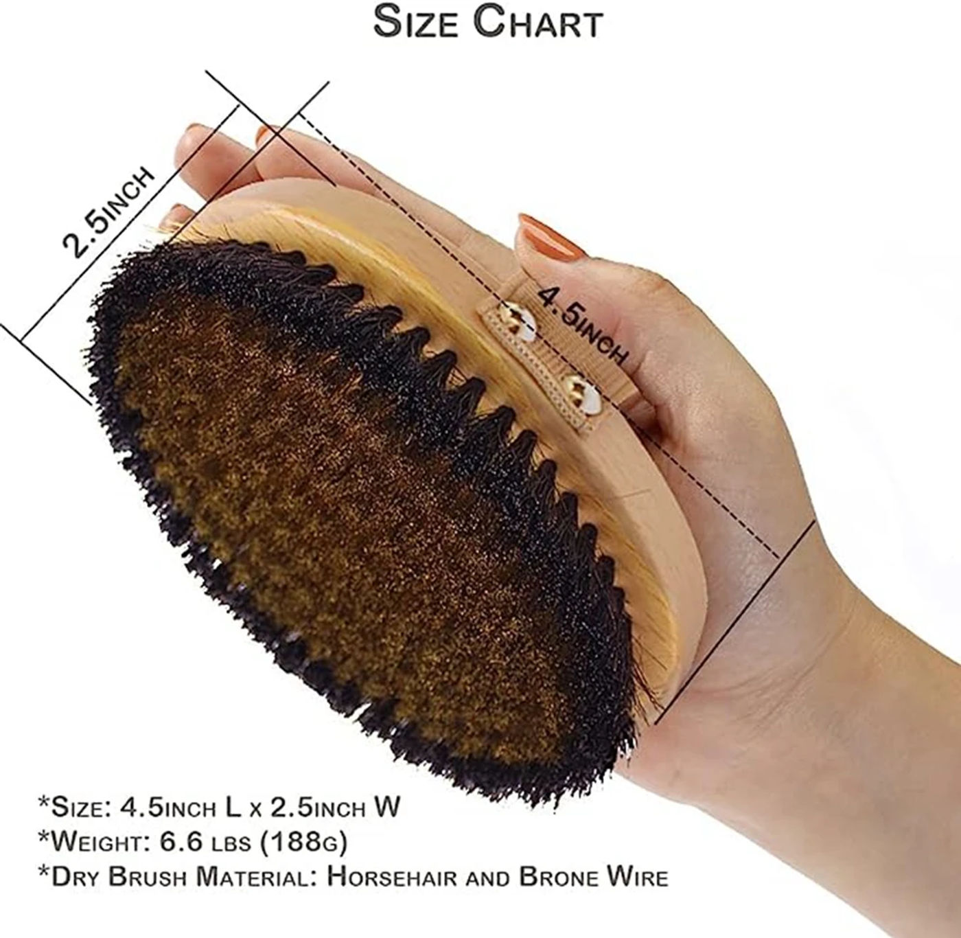 Description Picture 2 of itemNatural Beech Bristle Brush Bath Brush Meridian Dredging Body Beech Wood Dry Brush Exfoliatin Massage Control Blood Circulation