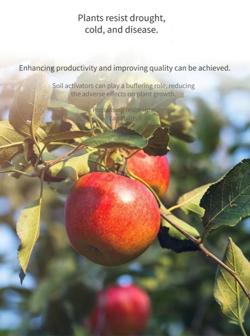 Description Picture 5 of itemSoil activation Potassium baoate loosens soil water soluble fertilizer flower fertilizer anti-hardening improved soil activator