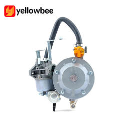 GT241 154F huayi Gasoline generator parts Engine double use LPG Manual carburetor kit assy