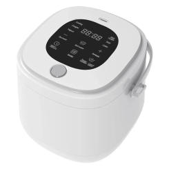 2L 12V 24V Mini Rice Cooker Electric Heating Lunch Box Portable Thermostat Food Steamer Multi Electric Cooker For Car Truck