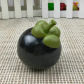 Mangosteen