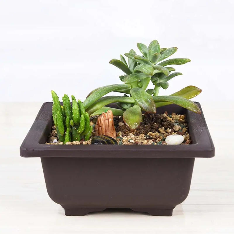 Description Picture 5 of item1 Pc Dark Brown Plastic Flower Pot Nordic-Style Square/Rectangle Nursery Pots Succulents Planters Balcony Garden Supplies