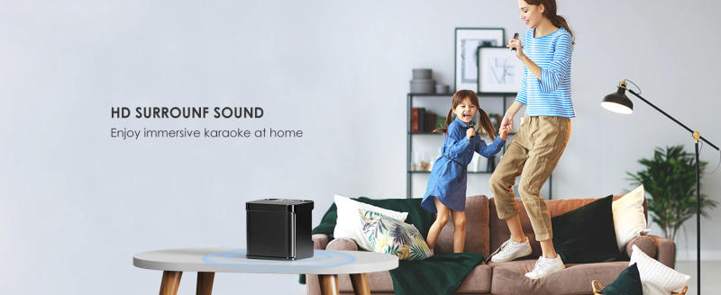 Description Picture 3 of item20W Powerful Wireless Portable Dual Microphone Bluetooth Sound Outdoor Family Party Karaoke Subwoofer Boom Box with 2 Microphone