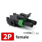 2P Female