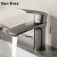 Gun Gray A