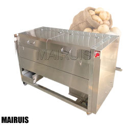 220V Fruit And Vegetable Washer Commercial Root Washer Fruit Washing Machine