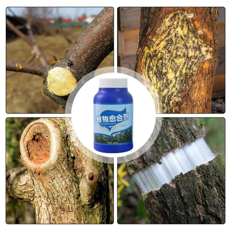 Description Picture 6 of itemTree Wound Pruning Sealer Wound Care Damaged Trees Quick Recovery Bonsai Cutting Cream Wound Repair Tools For Daily Tree Care
