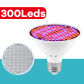 300leds-25W