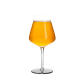Craft Beer Glass
