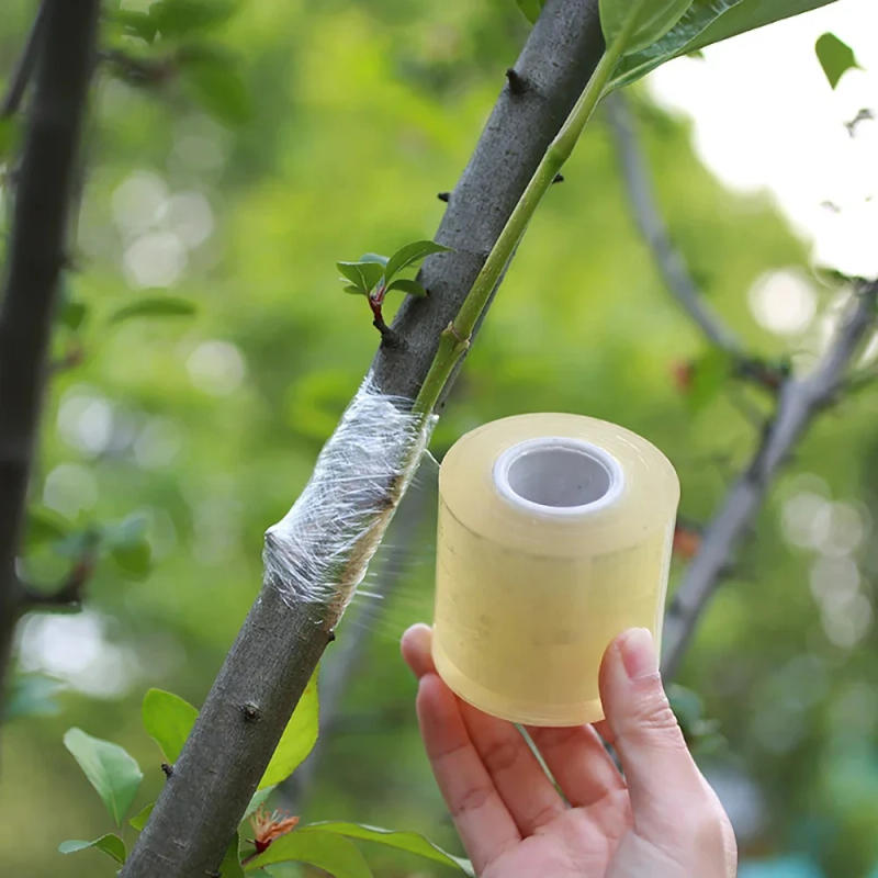 Description Picture 3 of itemPE Grafting Tape Film Self-adhesive Garden Tree Plants Seedlings Vine Tomato Grafting Accessories Stretchable 2/3/4cm Width