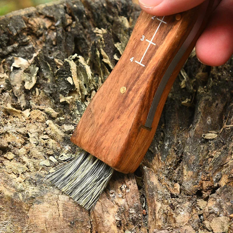 Description Picture 4 of itemMultifunctional stainless steel folding  brush outdoor mini mushroom knife EDC wooden handle sharp camping hunting survival