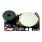 1PCS Purple