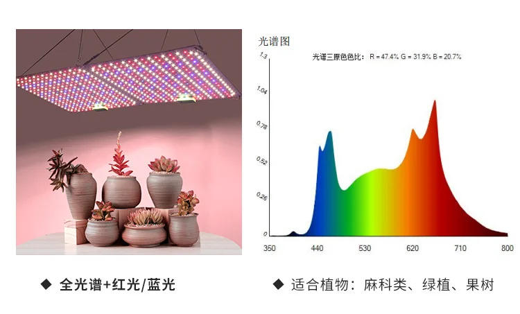 Description Picture 4 of itemFull Spectrum LED Grow Light LM281B Diode LED Sunlike Quantum Grow Lamp For Greenhouse Hydroponic Plant Growth Lighting