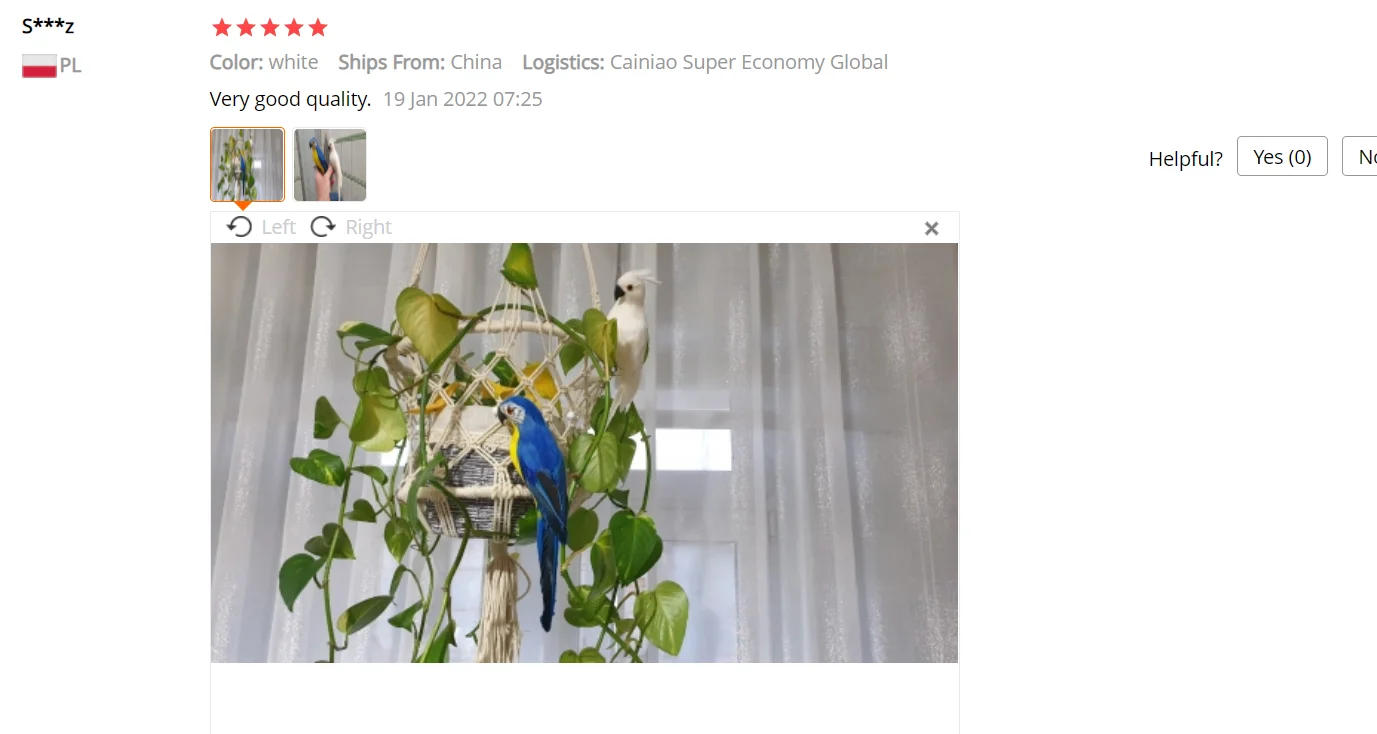 Description Picture 5 of item25cm Handmade Simulation Parrot Creative Feather Lawn Figurine Ornament Animal Bird Garden Prop Decoration 12/13/14/15/16CM