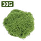 30g