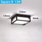 Square B 12W
