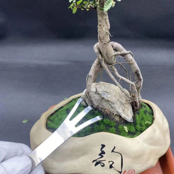 Slide 5a60c536def0441babaad6a60ab49e6c