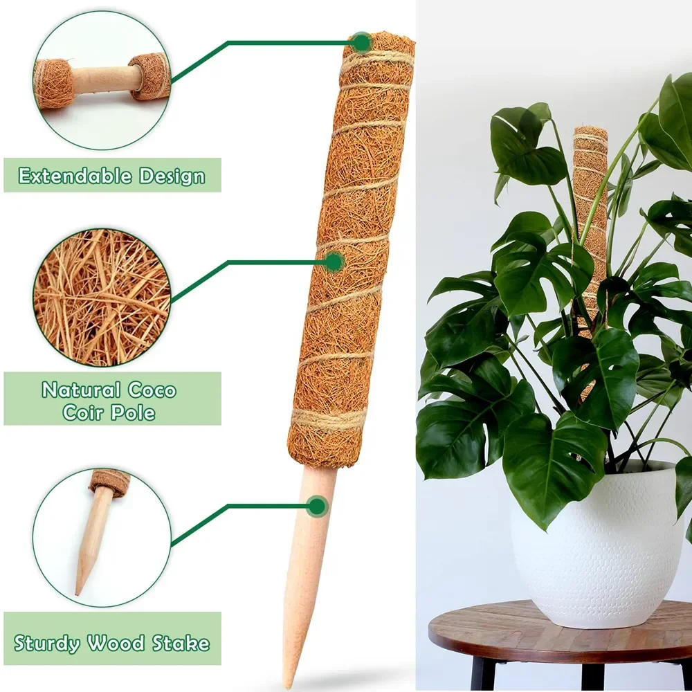 Description Picture 3 of item1PC Plant Climbing Coir Support Pole Potted Moss Stick Extendable Plant Support Monstera Creepers Vines Garden Supplies
