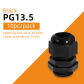 PG13.5black