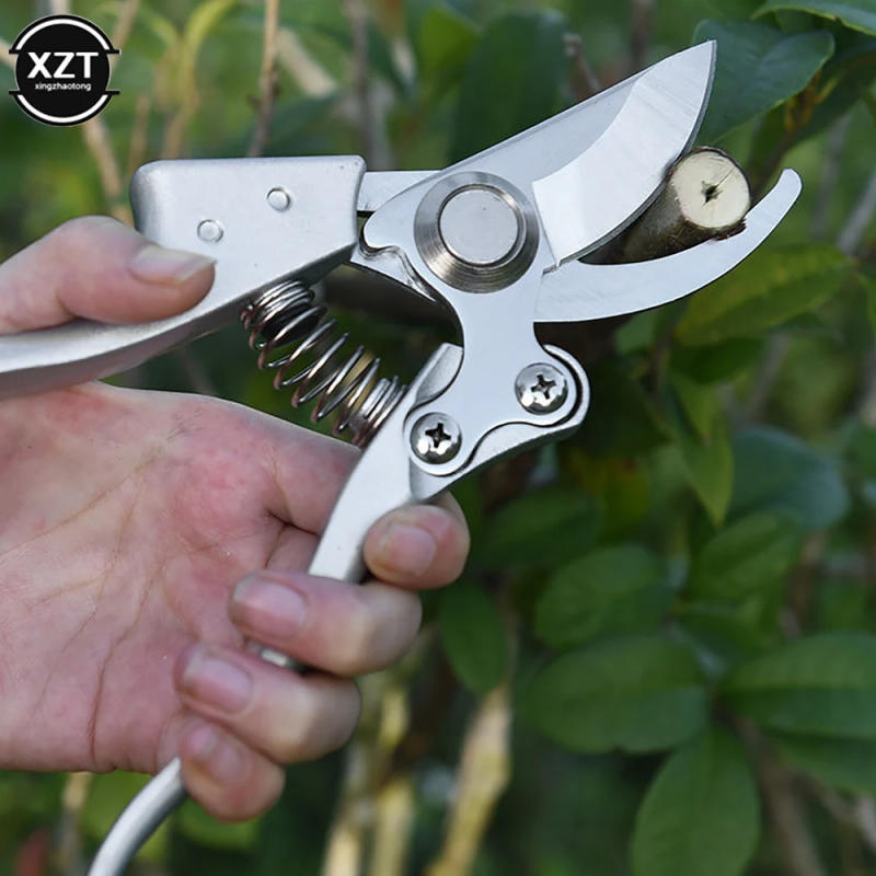 Description Picture 2 of itemHigh Quality Gardens Tools Pruning Shears Plant Trim Metal Hand Pruner Shrub Scissor Orchard Branch Shear Professional Tools