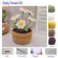 A Daisy Flower Kit