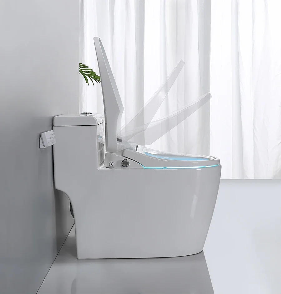 Description Picture 6 of itemSmart Electric Toilet Bidet Seat Hygienic Pastic Lid