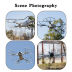 Slide image ee2dc38a0a4e4c06bcf48f9e641c9c70