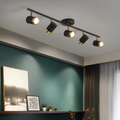 Modern Creative Ceiling Downlight LED Ceiling Light Dining Room Living Room Bedroom Exhibition Hall Lighting Ceiling Light