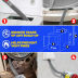 Slide image 45896732830a4ecc9bb8df9bdd53a4d5