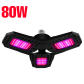 80W-144leds