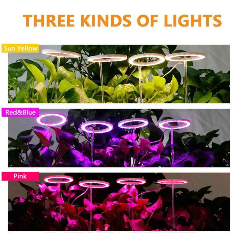 Description Picture 2 of itemGrowing Lamps Angel Ring Growth Light DC5V USB Phytolamp For Plants Led Full Spectrum Lamp For Indoor Plant Seedling