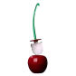 Light Wine Red
