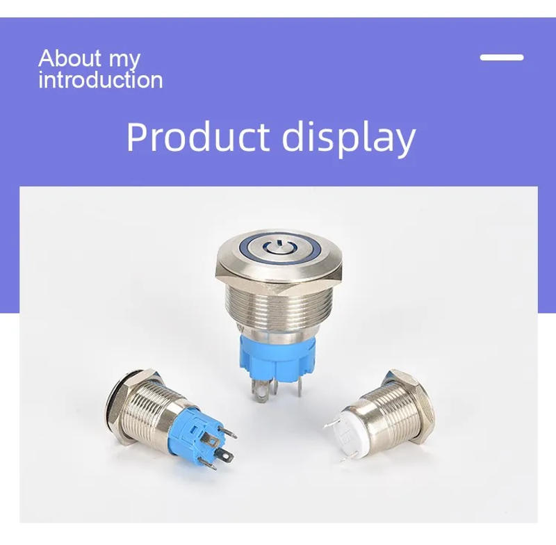 Description Picture 2 of item12 16 19 22MM Metal Button Switch LED Light Waterproof Momentary Self-Locking Car Engine Power Supply 5V6V12V24V 220V Red Blue