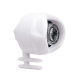 white 1pcs