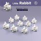 A rabbit