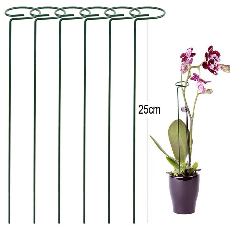Description Picture 4 of item6pcs Plant Stakes For Climbing Plant For Flowers Single Garden Orchid Plant Stakes Rose Flower Stem Stem Plant Support