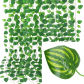 Watermelon leaves