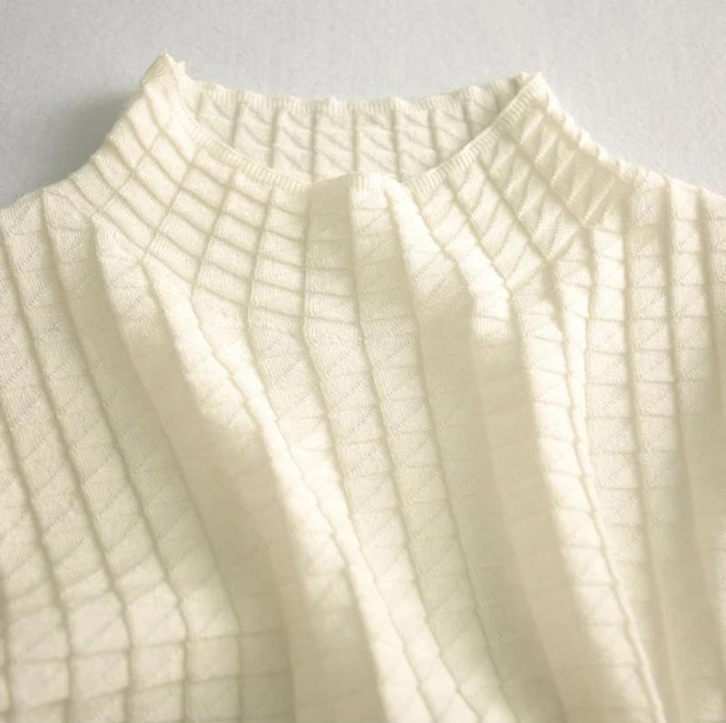 Description Picture 6 of itemWomen Turtleneck Plaid Sweater Pullovers Autumn Winter Basic Solid Slim Fit Women Sweaters Pull Femme Causal Tops