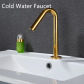 cold water gold S