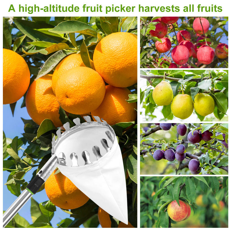 Description Picture 3 of itemFruit Picker Fruit Picking Tool with Storage Bag Stainless Steel Orange Picker Tool Tree Fruit Catcher Lightweight Fruit