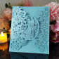 Light blue Cover