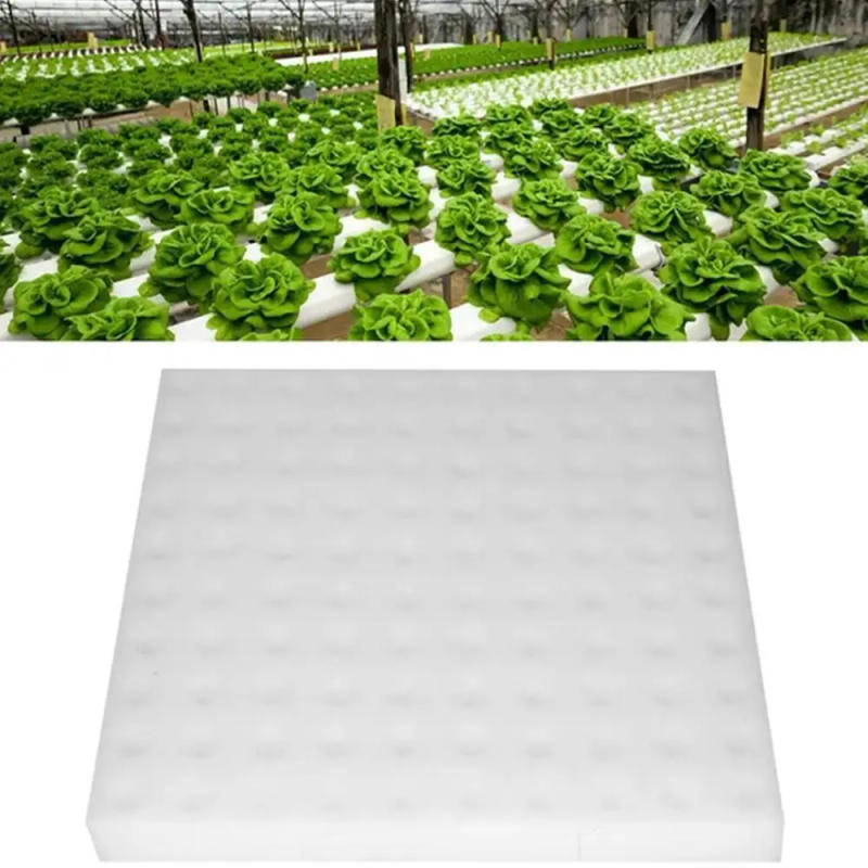 Description Picture 2 of itemSoilless Cultivation Planting Cotton Hydroponic Seedling Garden Nursery Sponges Plant Vegetables Cultivation Pots Seedlings L3V1