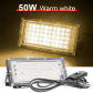 50W Warm White