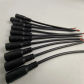 10 Female  black