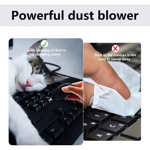 Slide 0e1de9b552284ab08bfa137399611947