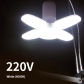 Cool White 220V
