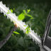 Slide image fc333ed423b04fb7adb0c9f29cd0992b