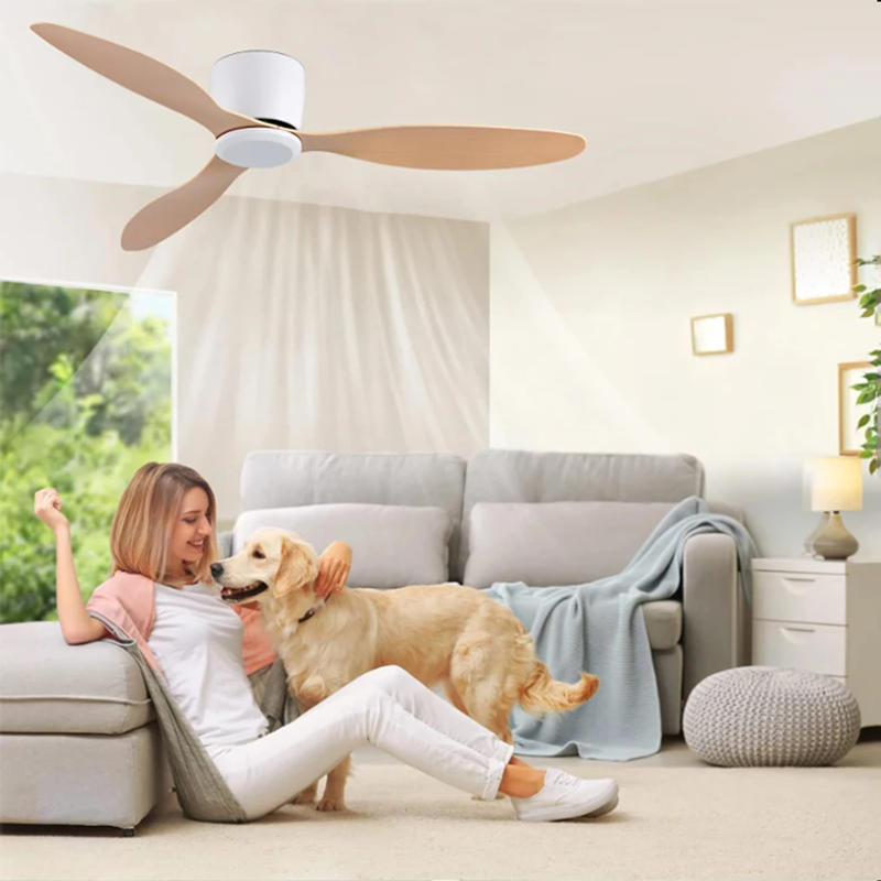 Description Picture 4 of itemModern Ceiling Fan Low Floor DC Motor Remote Control Large Household Fan Without Light for Living Room Bedroom Electric Fan