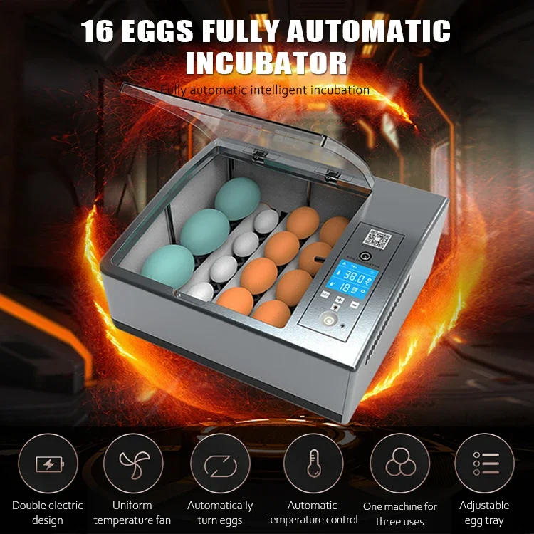 Description Picture 3 of itemAli Top Seller Fully Automatic Multifunctional Smart Home Teaching Experiment Children Small 9-16 Eggs Incubators