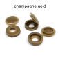 champagne gold 100pc